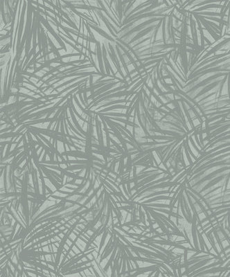 Areca Palm Wallpaper - Tea