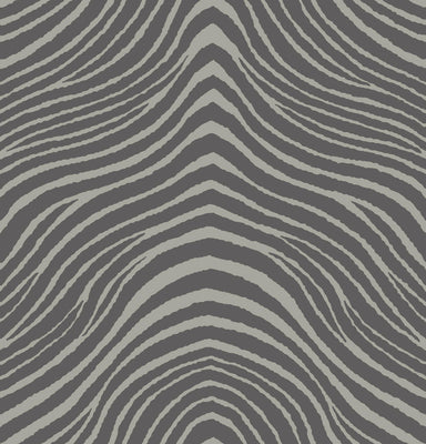 Zebra Zeal Wallpaper - Bedrock