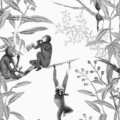 Drunk Monkeys Wallpaper - Blackout