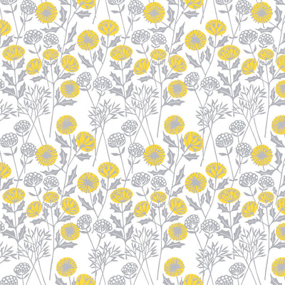 Morning Seedheads Wallpaper - Cloud