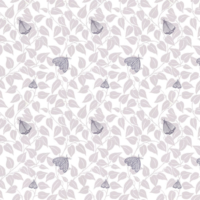 Summer Moth Wallpaper - Grey