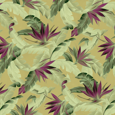 Wailea Wallpaper - Beatific