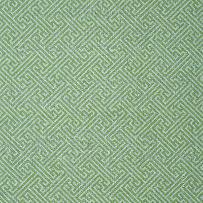 Charlotte Raffia Wallpaper - Green and Blue