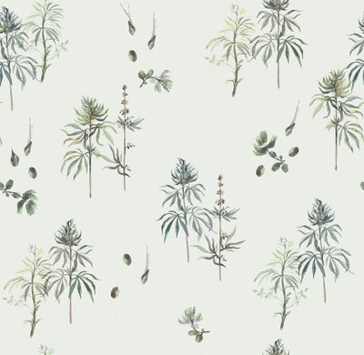 Botanical Weed Wallpaper - Baby's Breath