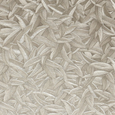 Wingspan Wallpaper - Taupe