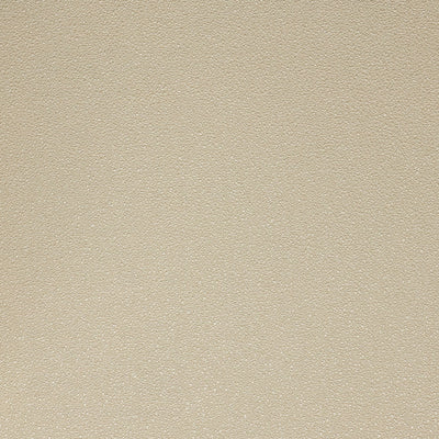 Pumice Wallpaper - Sand