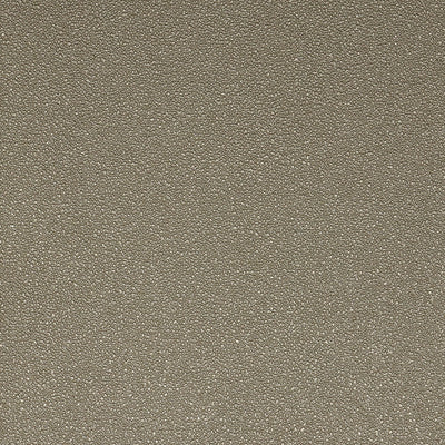 Pumice Wallpaper - Taupe