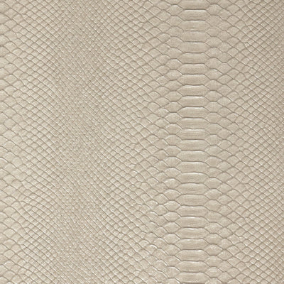 Reptile Wallpaper - White