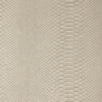 Reptile Wallpaper - White