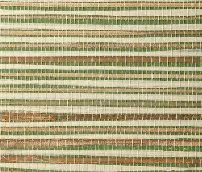 Kelly Green & Beige Grasscloth Wallpaper