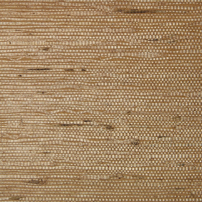 Fine Arrowroot Wallpaper - Beige