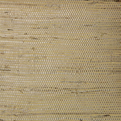 Fine Arrowroot Wallpaper - Ivory