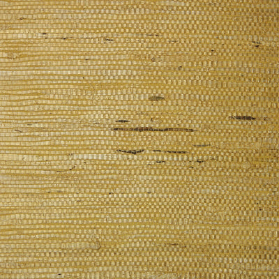 Fine Arrowroot Wallpaper - Golden Yellow