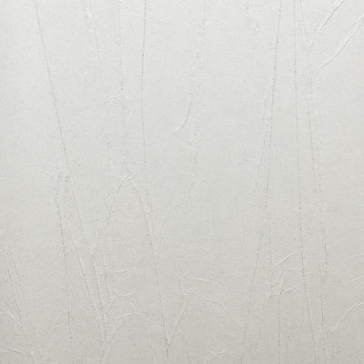 Moonlit Veil Wallpaper