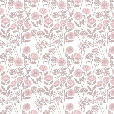 Morning Seedheads Wallpaper - Blush