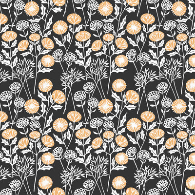 Morning Seedheads Wallpaper - Charcoal