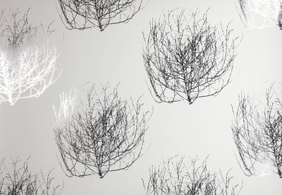 Tumbleweed Wallpaper - Silver