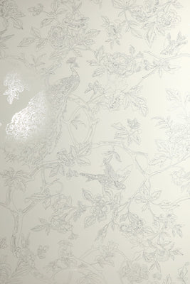 Peacock Wallpaper - Silver Contour