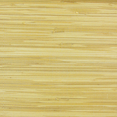 Cream Grasscloth Wallpaper