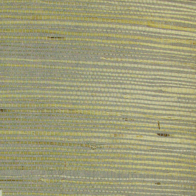 Oyster Grasscloth Wallpaper