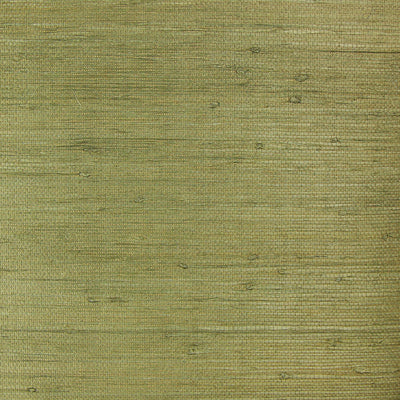 Olive Grasscloth Wallpaper
