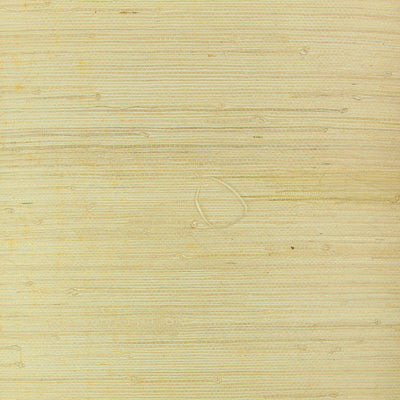 Oat Grasscloth Wallpaper