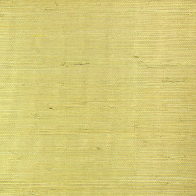 Blonde Grasscloth Wallpaper
