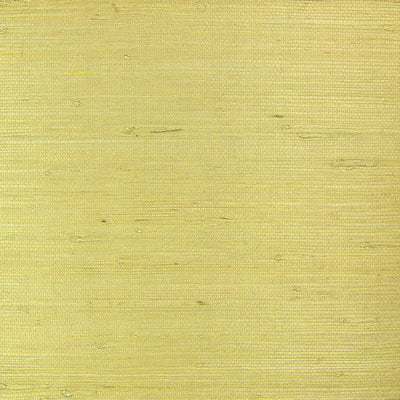 Blonde Grasscloth Wallpaper