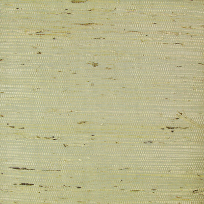 Juniper Grasscloth Wallpaper