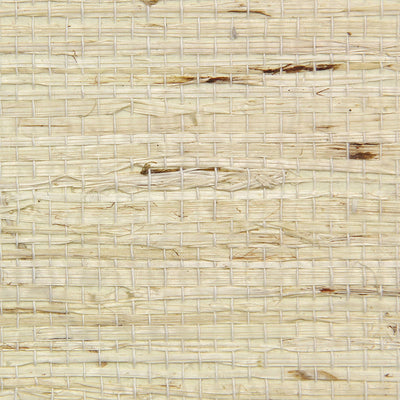 Arrowroot Fine Wallpaper - Cream