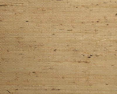 Arrowroot Fine Wallpaper - Parchment