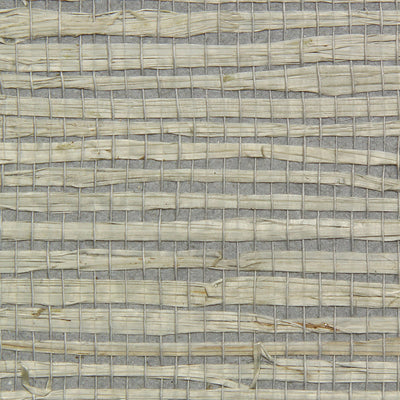 Arrowroot Fine Wallpaper - Greystone