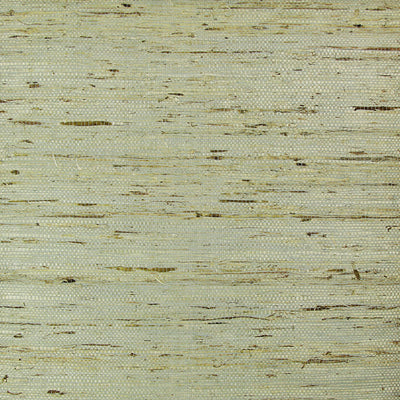 Birch Grasscloth Wallpaper