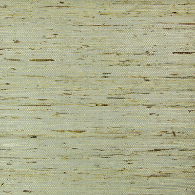 Birch Grasscloth Wallpaper