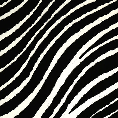 Zebra Stripes Wallpaper - White and Black Velvet