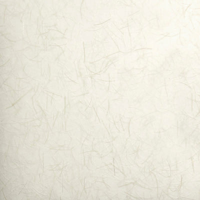 Armadillo Wagtail Paintable Embossed Wallpaper