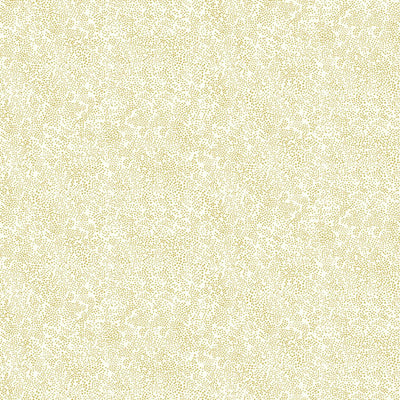 Champagne Dots Wallpaper - Gold/White