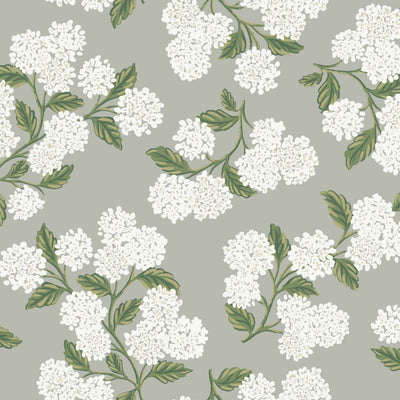 Hydrangea Wallpaper - Gray