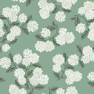 Hydrangea Wallpaper - Jade