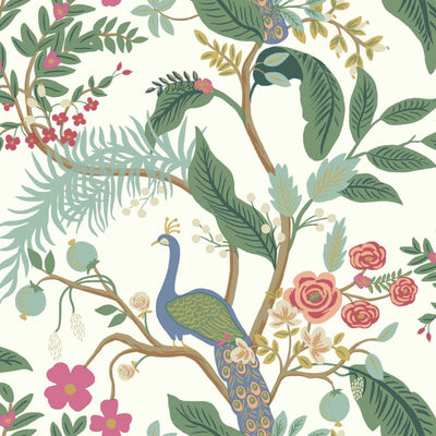 Peacock Wallpaper - Periwinkle