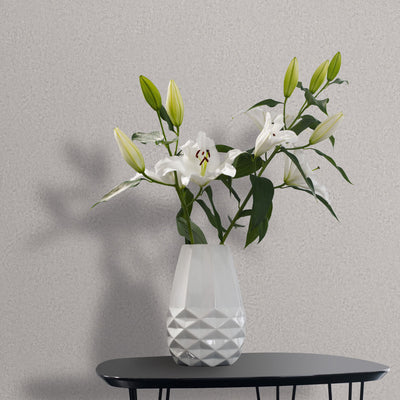 Quiet Veil - Cloud Wallpaper