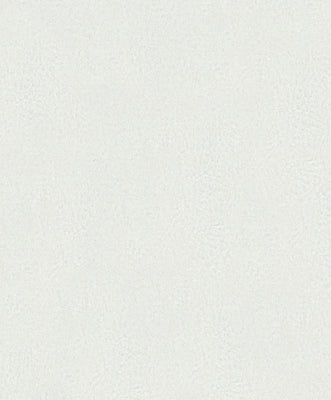 Quiet Veil - Whisper Wallpaper