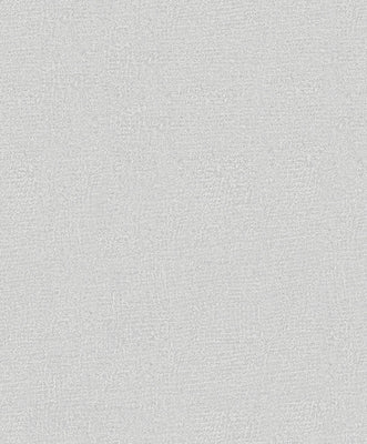 Quiet Veil - Moonlit Pewter Wallpaper