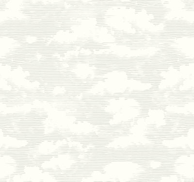 Cloud Cover Wallpaper - Gray