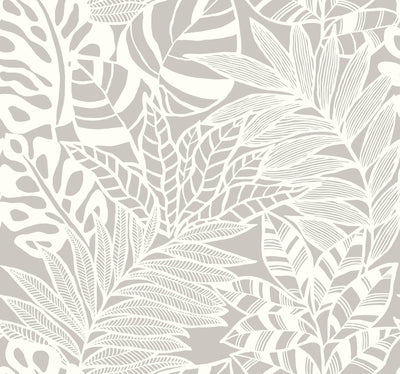 Jungle Leaves Wallpaper - Gray