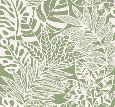 Jungle Leaves Wallpaper - Green