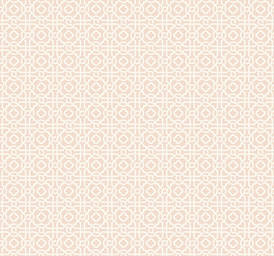 Pergola Lattice Wallpaper - Light Pink