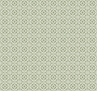 Pergola Lattice Wallpaper - Green