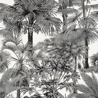 Palm Botanical Wallpaper - Black