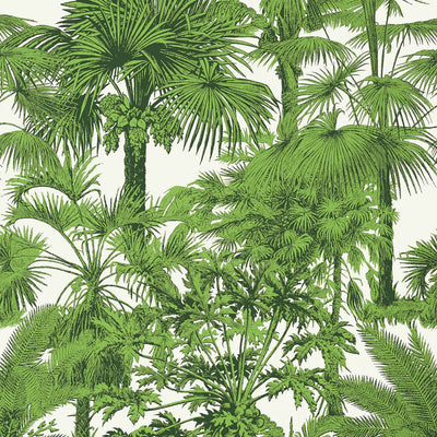 Palm Botanical Wallpaper - Emerald Green